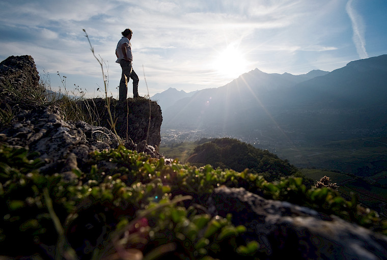 Behandlungskonzept agile+®