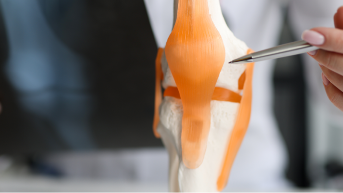 Knieschmerzen beim Sport: Was ist zu tun, wenn das Knie schmerzt?