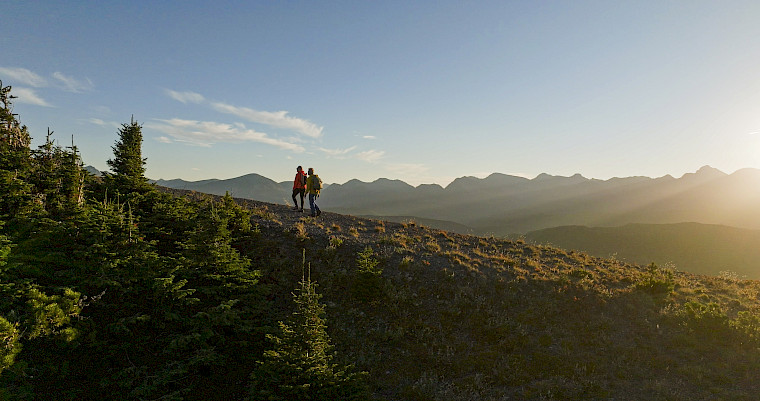 Behandlungskonzept agile+® für die optimale Genesung nach Einsetzen von einem künstlichen Hüftgelenk oder Kniegelenk